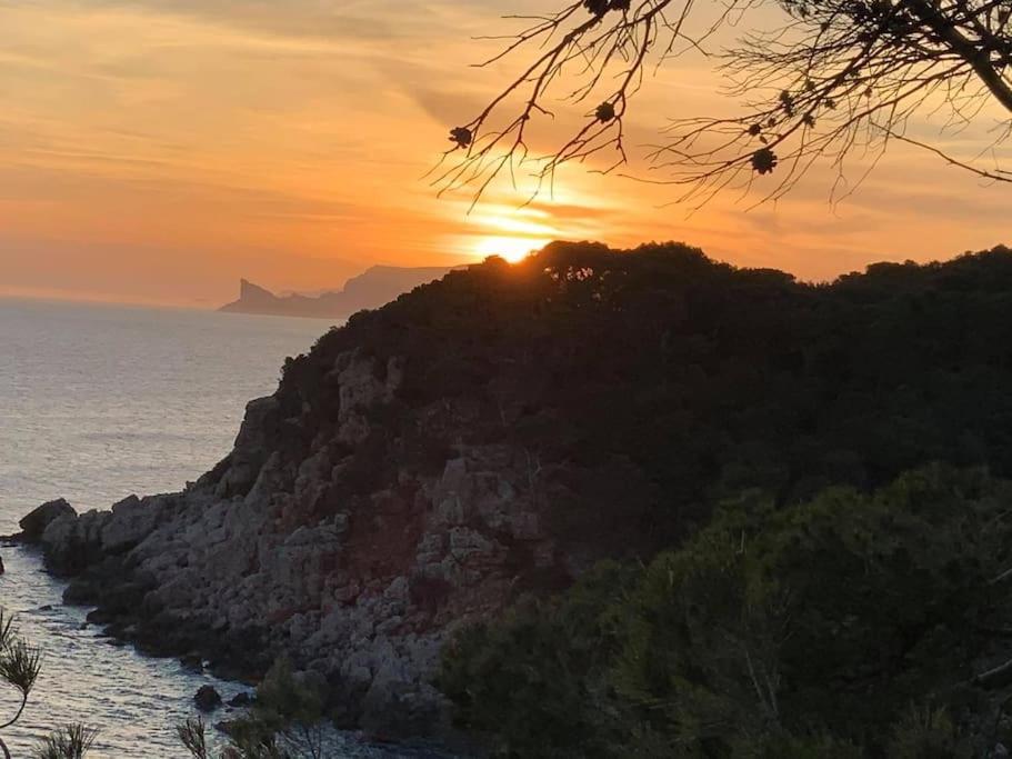 Athena Ohana, Les Pieds Dans L'Eau Bandol Luaran gambar